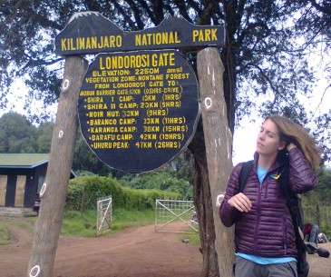 Kilimanjaro Climb Cost & Tour Packages In 2024