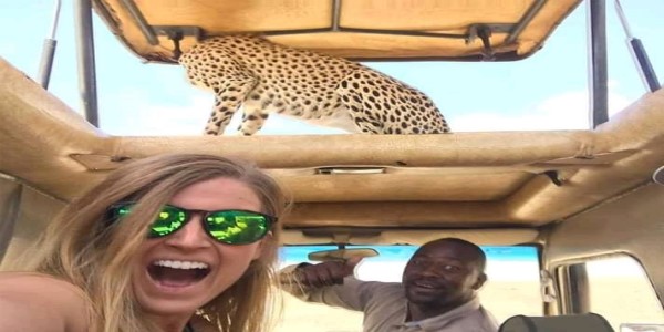 Tanzania Group Joining Safari Tour packages In 2024