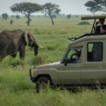 Tour Operators in Moshi and Arusha, Tanzania (2025 – 2026)