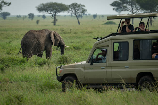 Tour Operators in Moshi and Arusha, Tanzania (2025 – 2026)