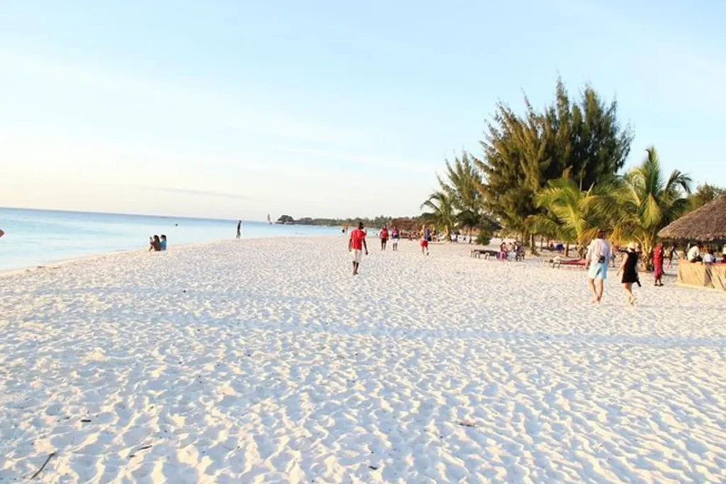 Tanzania Safaris from Dar es Salaam