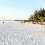 Tanzania Safaris from Dar es Salaam