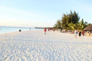 Tanzania Safaris from Dar es Salaam